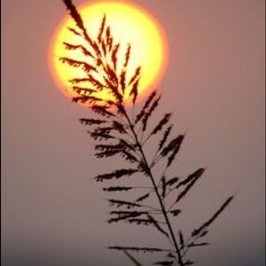 Meet your Posher, Arlene